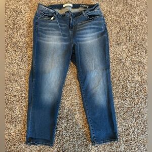 Slink Plus size Jeans